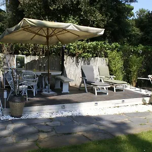 Domusauroom, Relax Nel Cuore Della Versilia - Pet Friendly Apartment